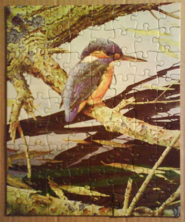 A kingfisher perched on a mossy branch above a dark stream.