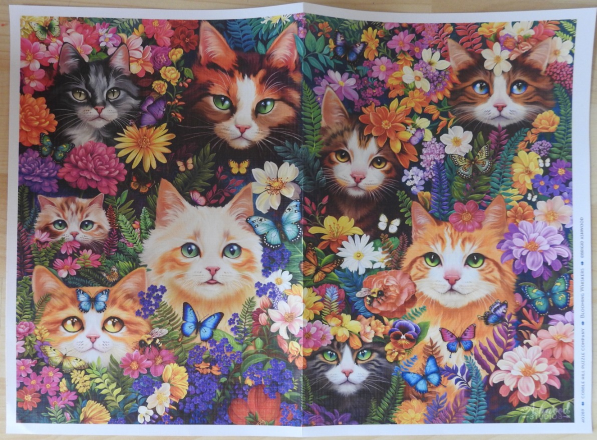 An illustration of multiple cat faces nestled among a lush garden of colorful flowers and butterflies.