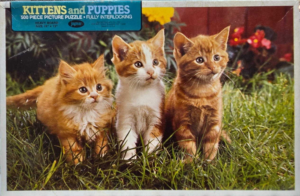 Three ginger kittens sitting in green grass in a garden setting.