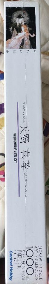 Swordsman of Moonlight