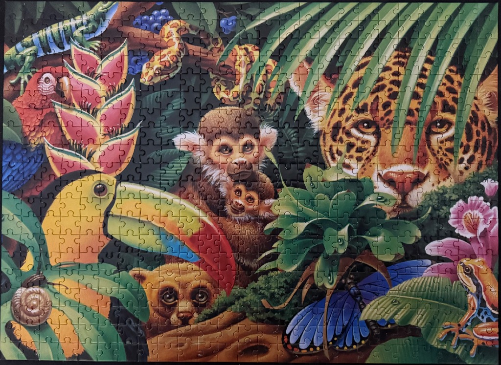 A lush rainforest scene featuring a leopard, toucan, monkeys, and other tropical wildlife.