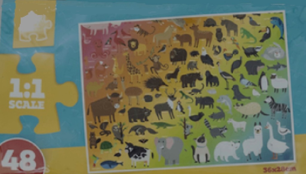 Illustration of various animals arranged by color in a spectrum against a rainbow background.