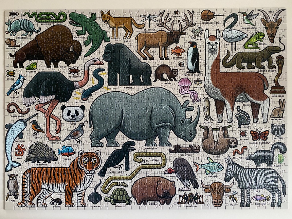 A whimsical illustrated animal kingdom chart featuring dozens of diverse creatures from insects to large mammals.