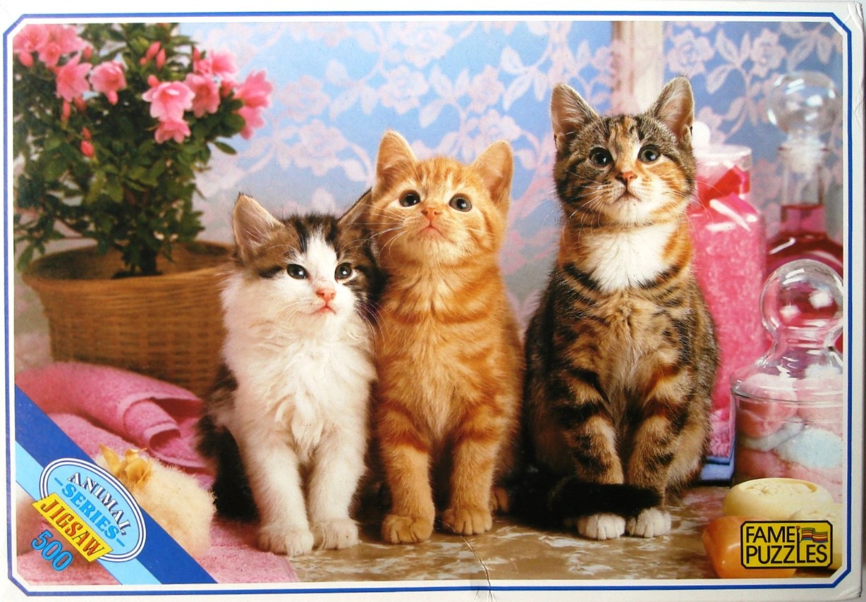 Three kittens sitting together: one calico, one ginger, and one brown tabby.
