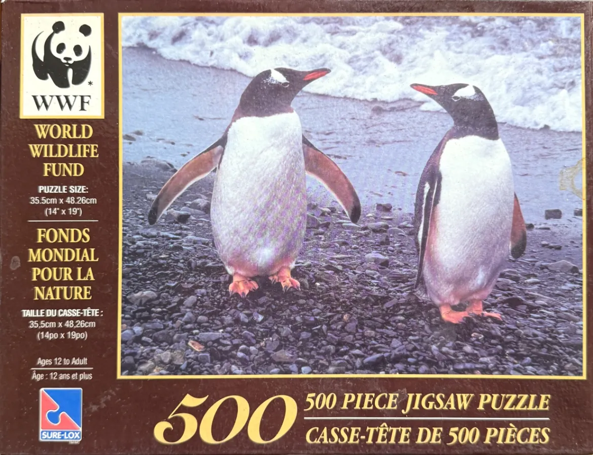 Two Gentoo penguins standing on a rocky beach with waves in the background.