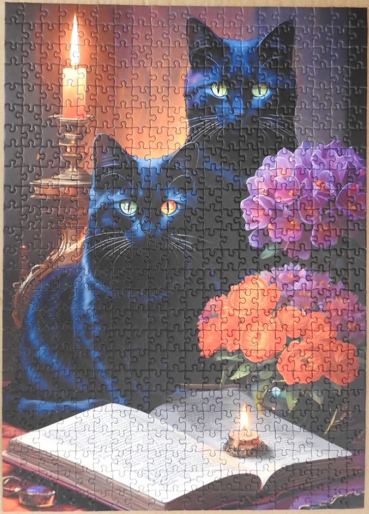 Two black cats sitting behind an open book with candles and flowers in a moody, artistic scene.
