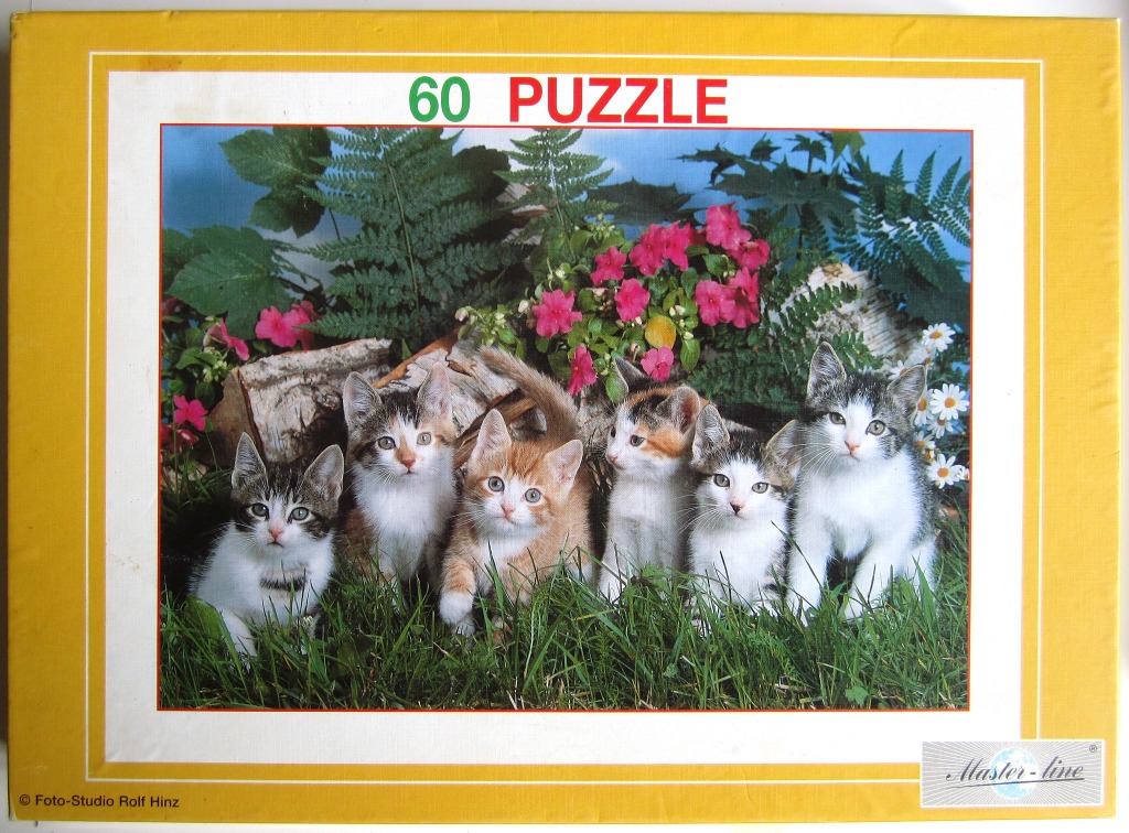 A group of six small kittens sitting in a grassy garden patch against a background of logs and pink flowers.