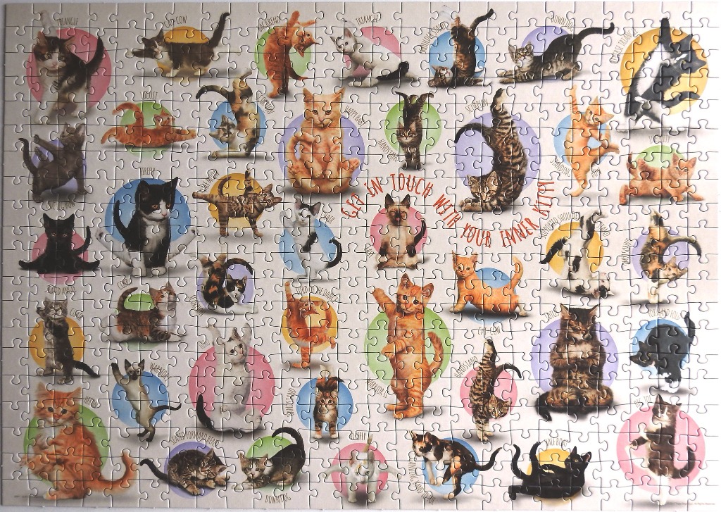 An illustration of many cats in various yoga poses, each set against a colorful circular background.