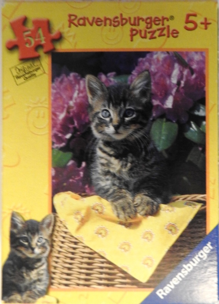 A close-up photograph of a small tabby kitten sitting in a woven basket lined with a yellow blanket among pink flowers.