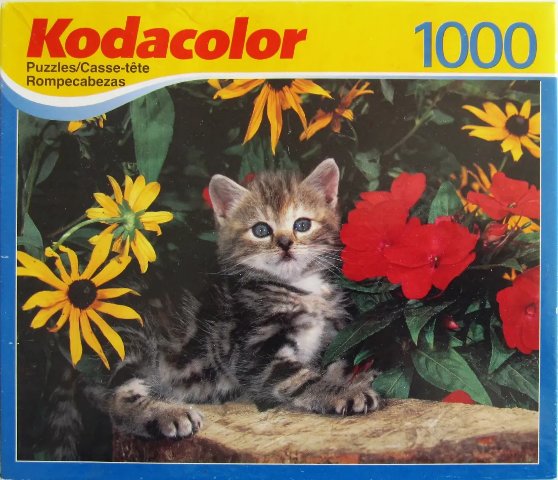 A fluffy tabby kitten sitting on a log surrounded by bright yellow and red flowers.