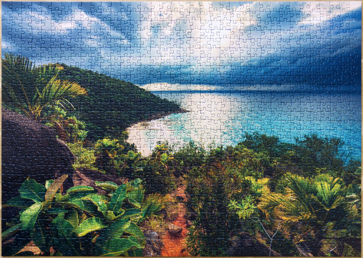 A tropical coastal landscape with lush green foliage, a sandy beach, and dramatic clouds over the turquoise ocean.