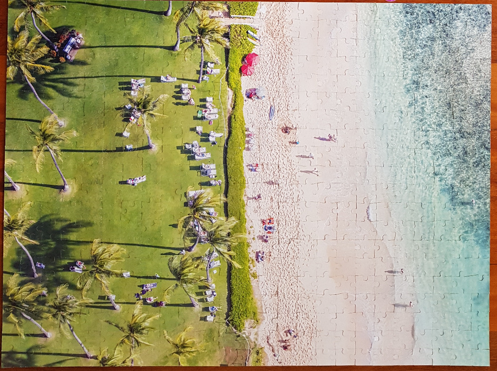 Aerial view of a tropical beach resort with palm trees, a green lawn, sandy shore, and clear blue water.