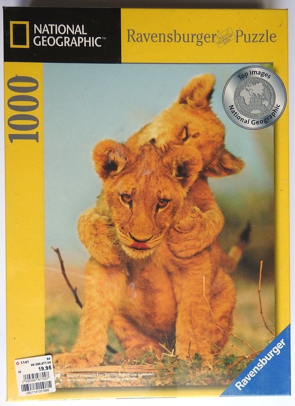 Two lion cubs embracing in the tall grass.