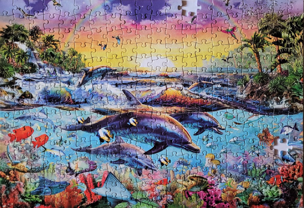 Dolphins swimming in a vibrant tropical ocean scene under a sunset rainbow.