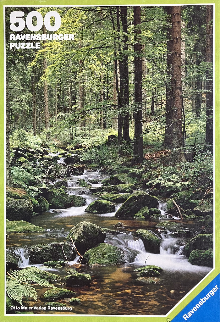 A babbling brook flowing through a lush, mossy evergreen forest.