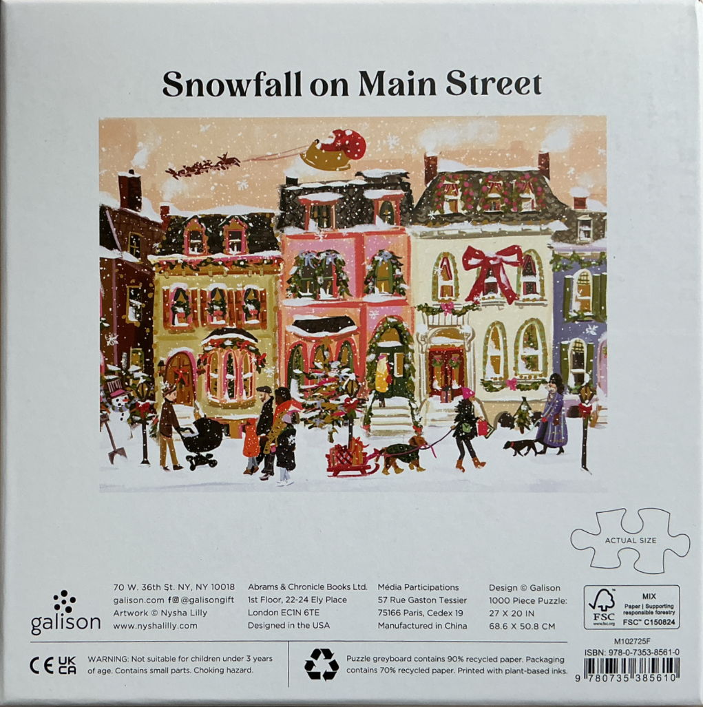 Snowfall on Main Street