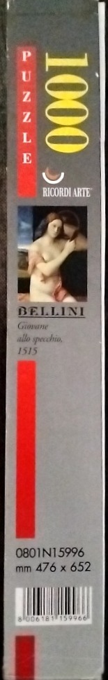 Giovane allo specchio, 1515