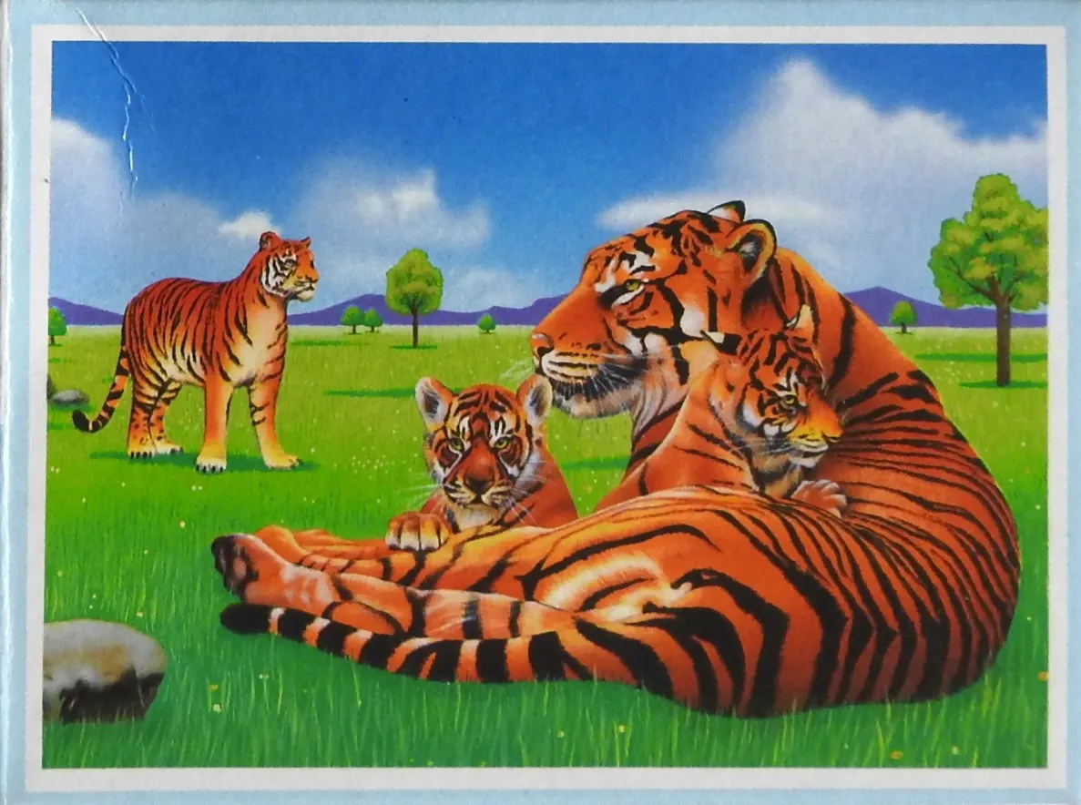 An illustration of a family of four tigers in a grassy savanna under a bright blue sky.