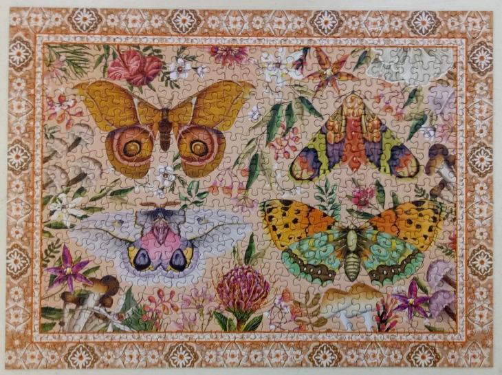 An illustration of four diverse moths surrounded by wildflowers, mushrooms, and a decorative floral border.
