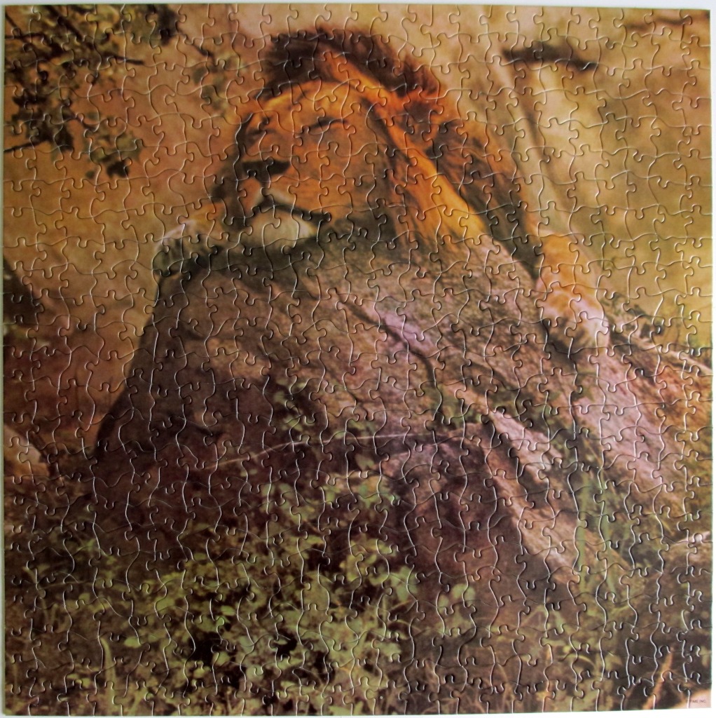 A male lion resting his head on a large boulder in a golden, sunlit forest setting.