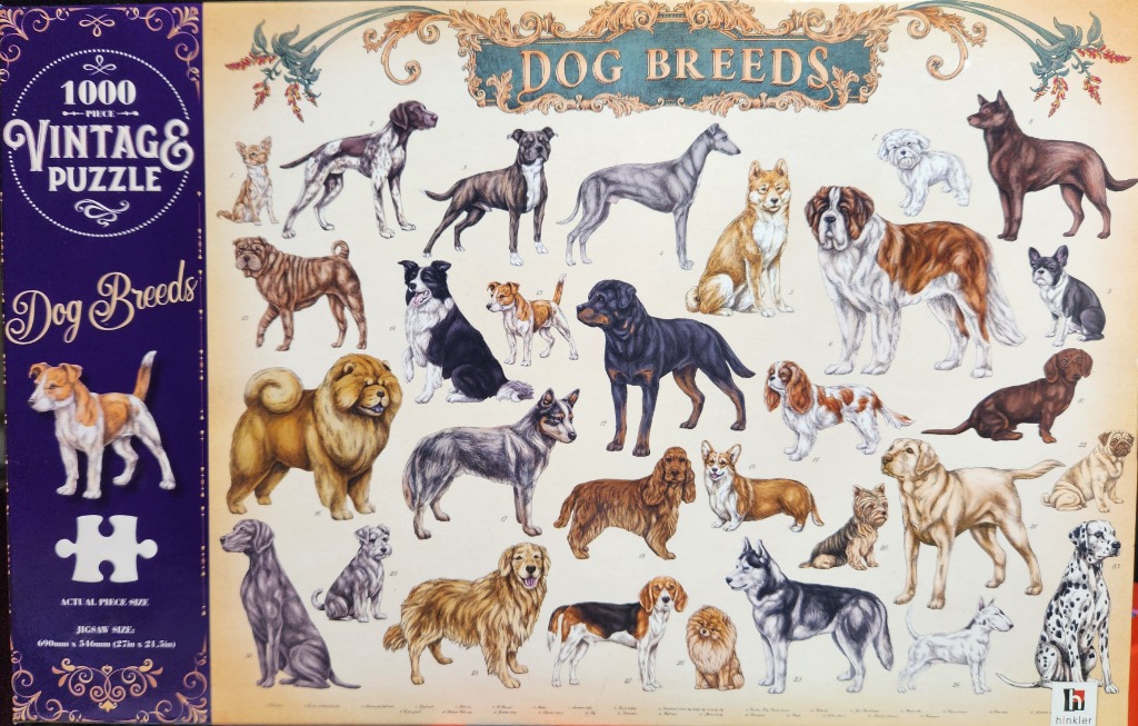 Vintage-style illustration showcasing various dog breeds on an aged parchment background.