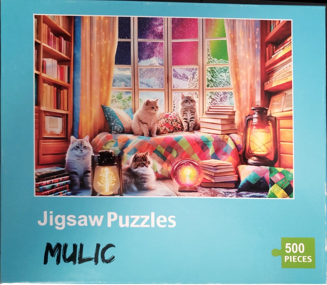 Four kittens in a cozy, book-filled room with a glowing window view of a snowy landscape and northern lights.