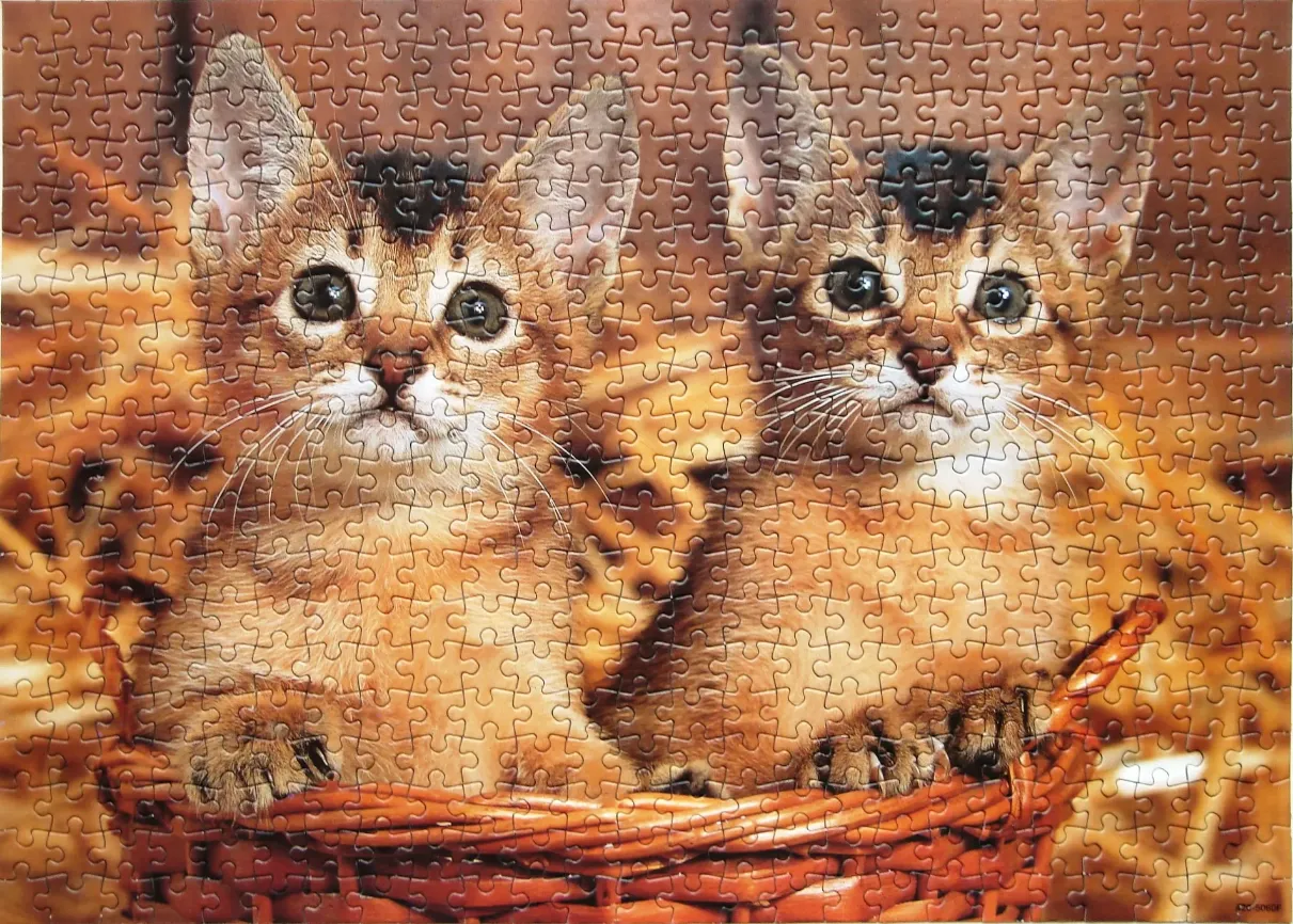 Two Abyssinian kittens sitting inside a woven wicker basket.