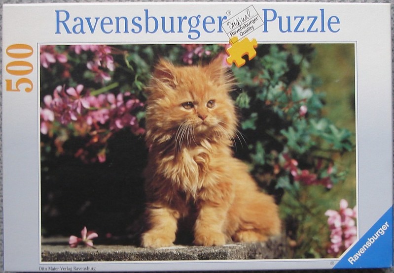 A fluffy ginger kitten sitting on a stone wall surrounded by pink flowers.