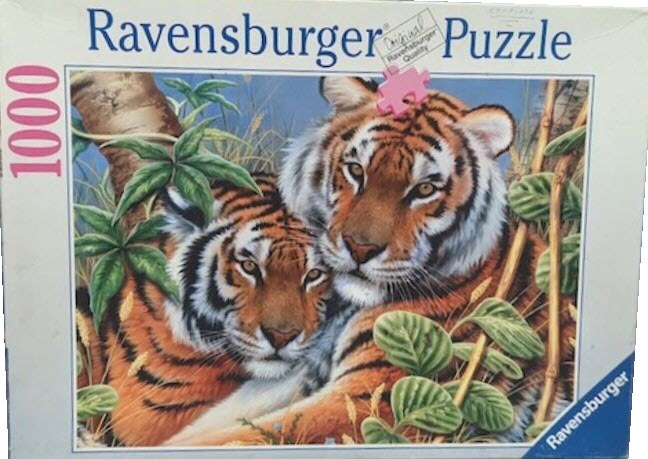 An illustration of two tigers resting together in a lush, grassy forest setting.