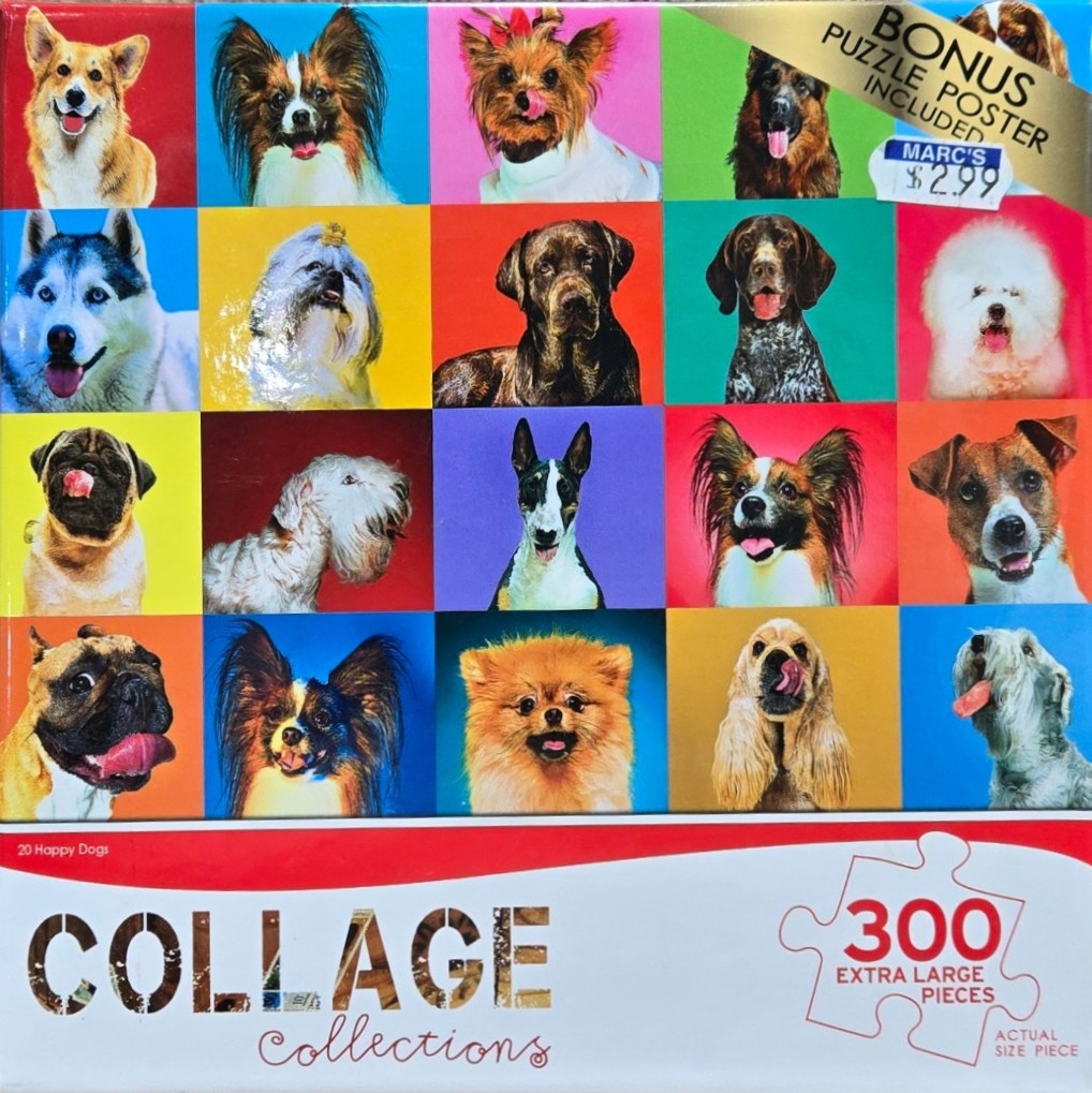 A grid of twenty different dog portraits against vibrant, solid-colored backgrounds.