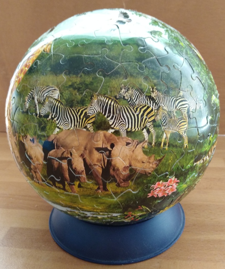 A spherical image featuring a herd of zebras and rhinoceroses in a lush African savanna setting.