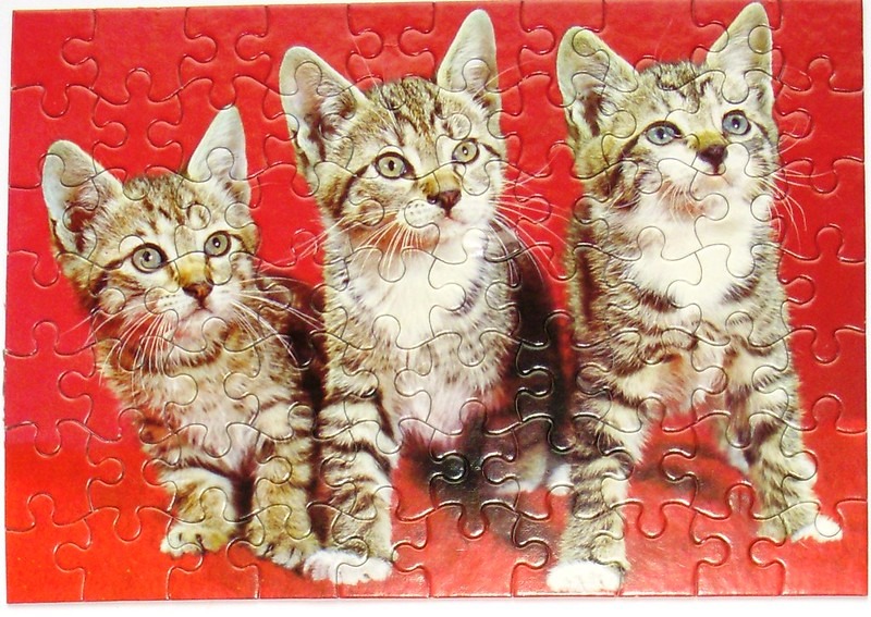 Three brown tabby kittens sitting side-by-side against a solid bright red background.