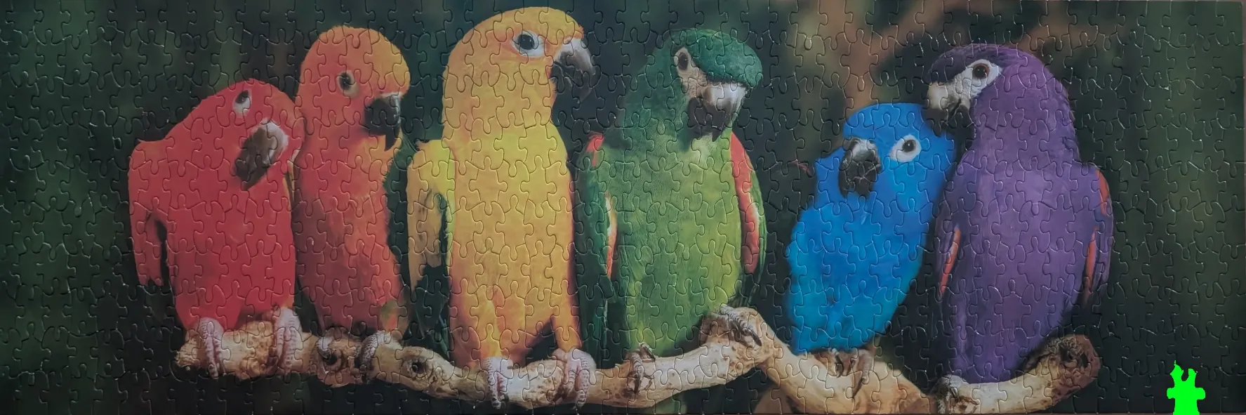 Six colorful parrots perched on a branch in a vibrant row.
