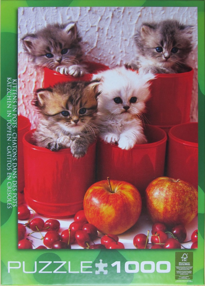 Four fluffy kittens sitting inside bright red plastic pots surrounded by red apples and cherries.