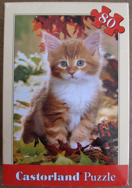A fluffy ginger and white kitten sitting in a bed of colorful autumn leaves.