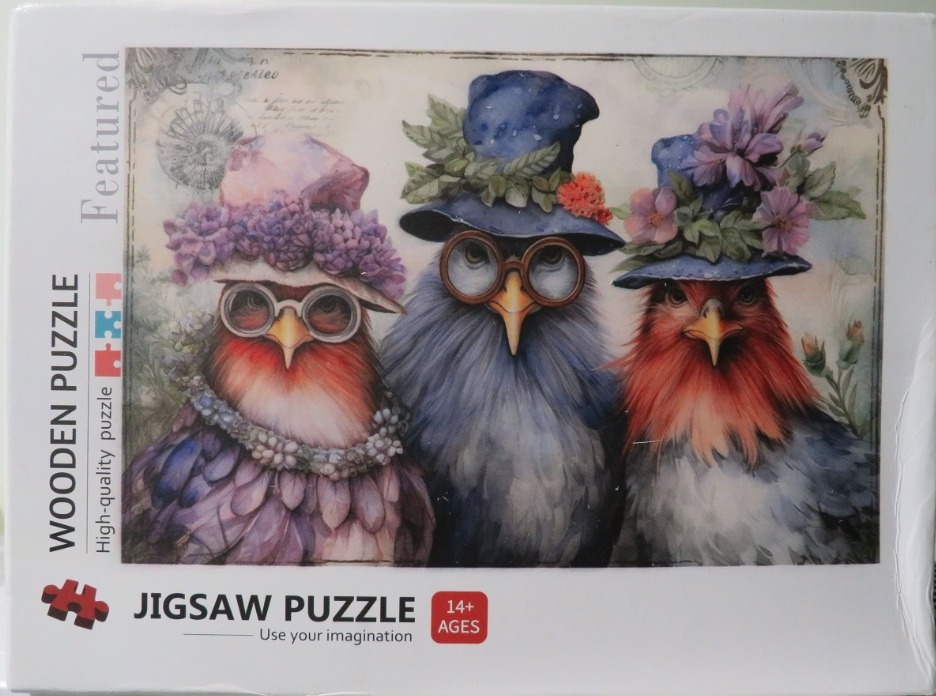 Three whimsical birds wearing hats and glasses in a vintage watercolor style