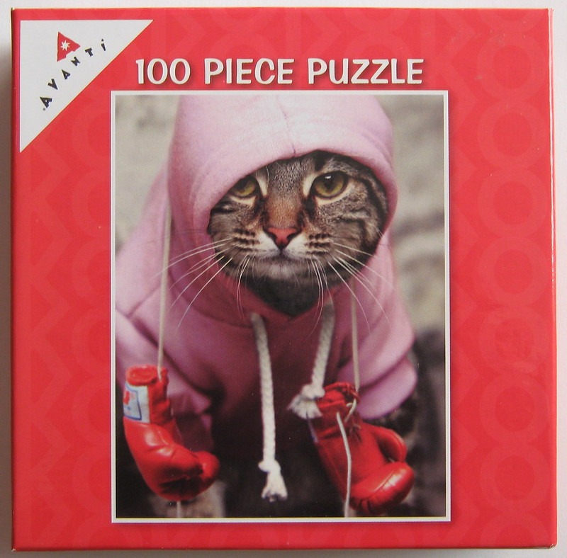 A close-up photograph of a tabby cat wearing a pink hoodie and red boxing gloves.