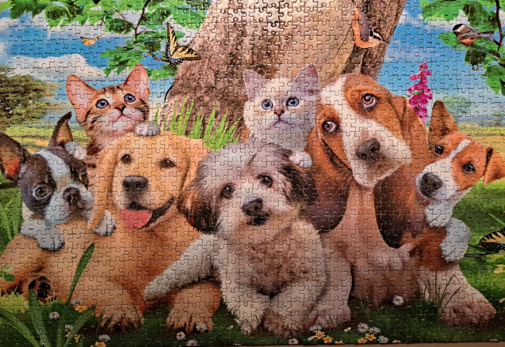 A group of various puppies and kittens sitting together in a grassy meadow in front of a large tree.