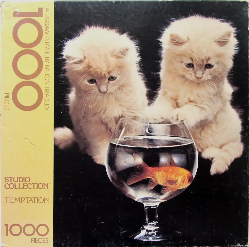 Two fluffy cream-colored kittens looking curiously at a goldfish in a glass bowl against a black background.