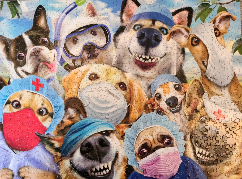 An illustration of various dog breeds dressed in medical scrubs, masks, and surgical caps.