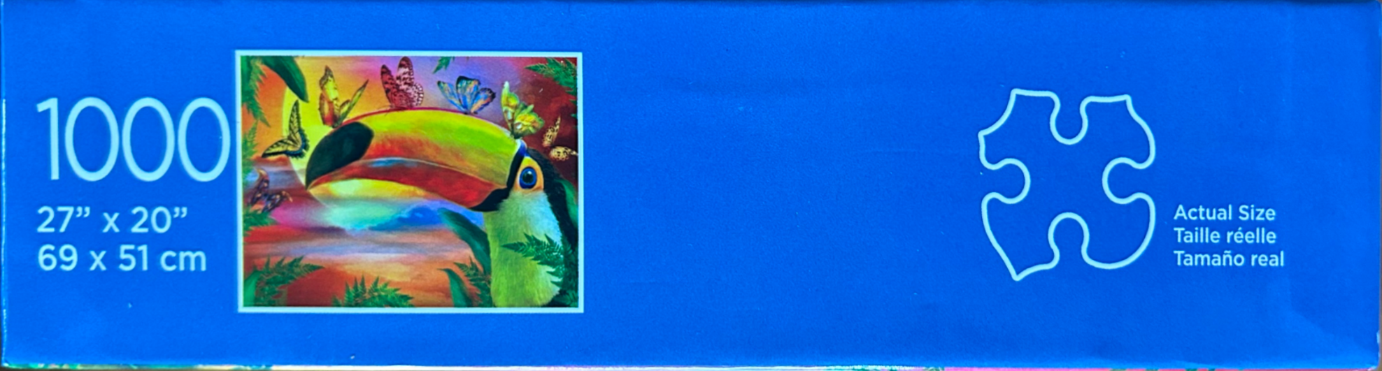 Toucan and Butterflies