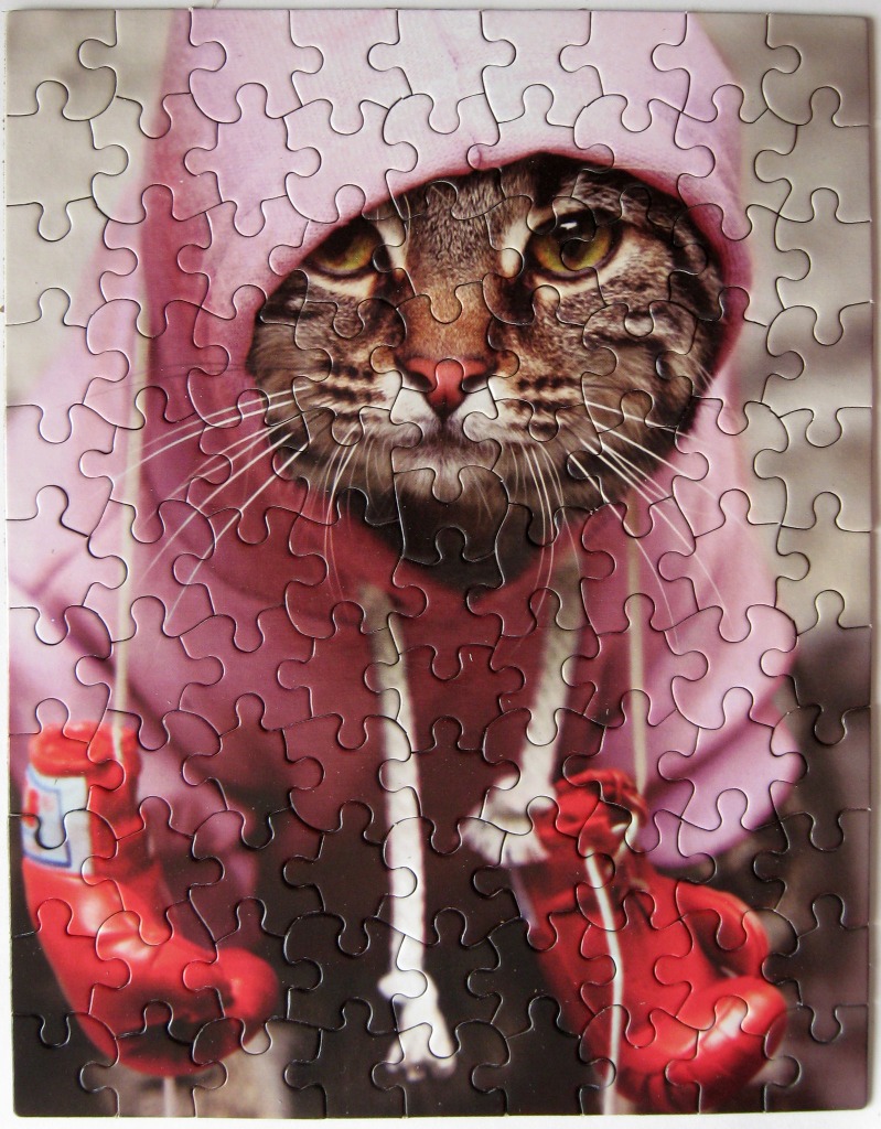 A close-up portrait of a tabby cat wearing a pink hoodie and red boxing gloves.