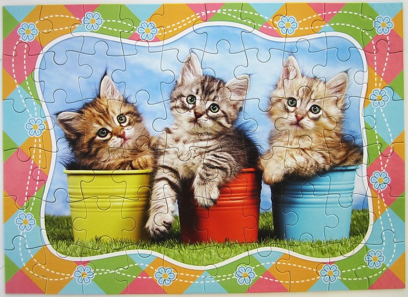 Three fluffy kittens peeking out from colorful buckets against a blue sky