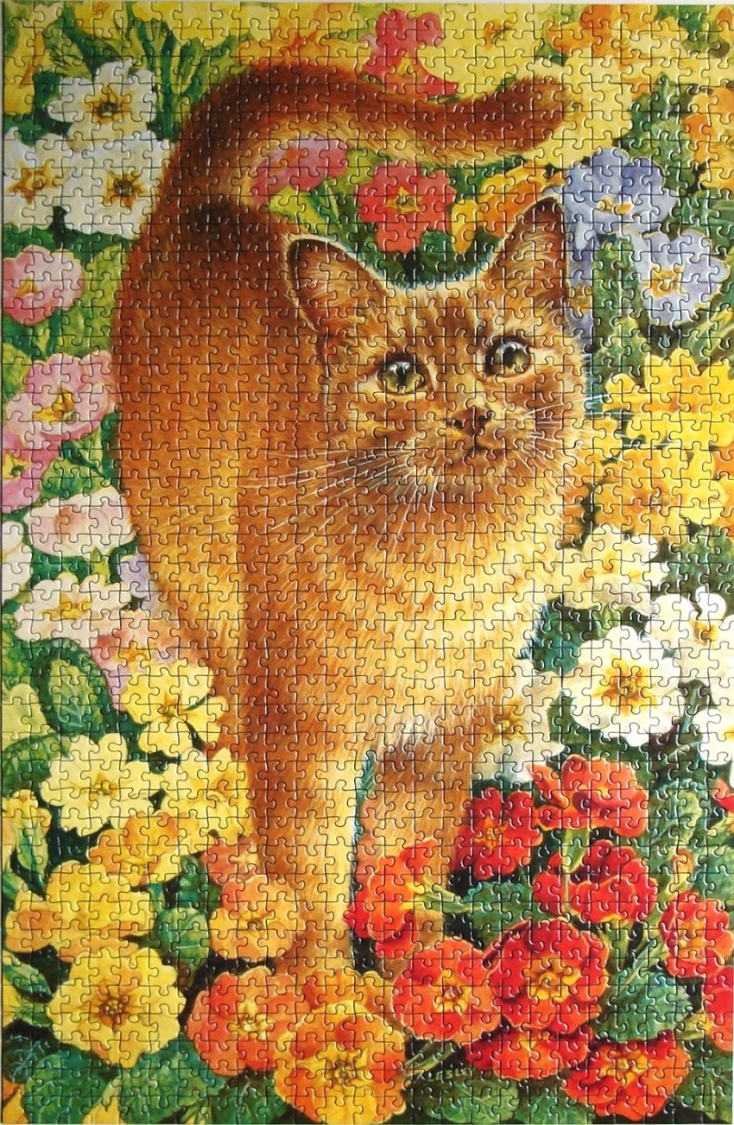 An illustration of a fluffy orange cat standing amidst a dense, colorful flower garden.