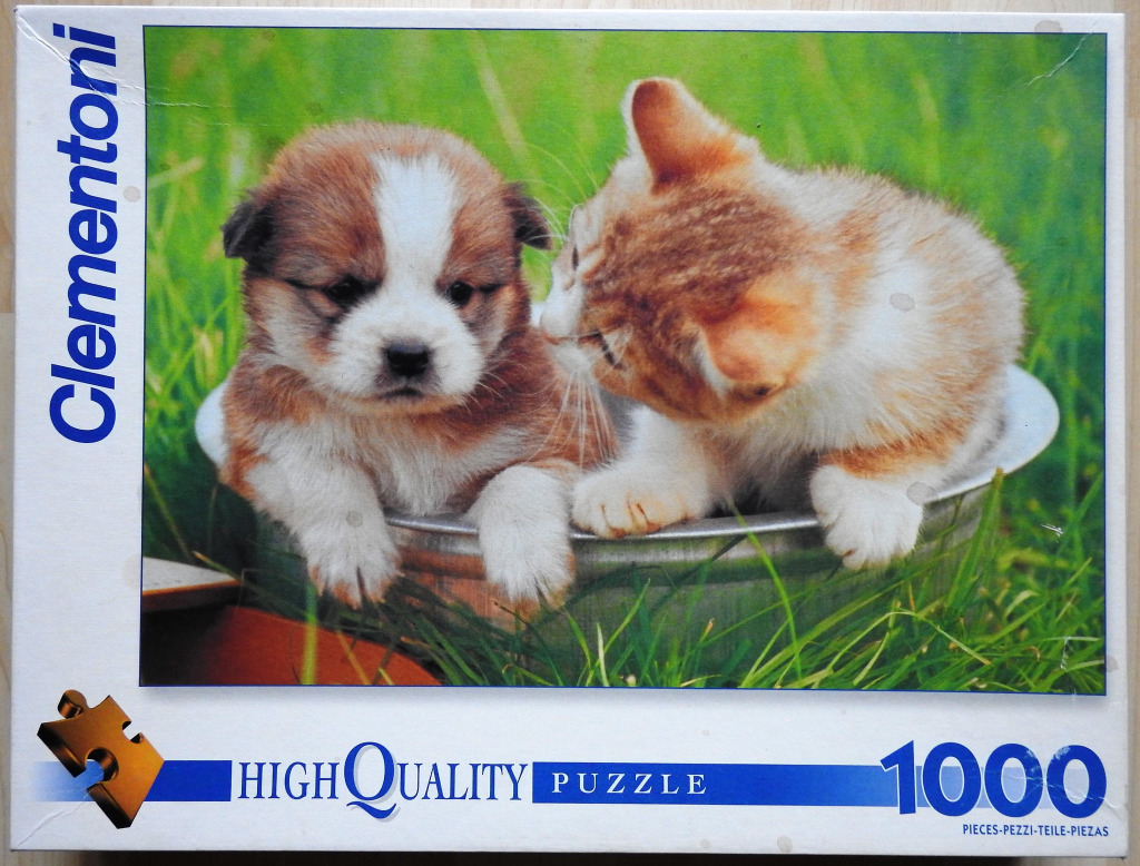 A puppy and a kitten sitting together inside a silver metal bowl in a grassy field.
