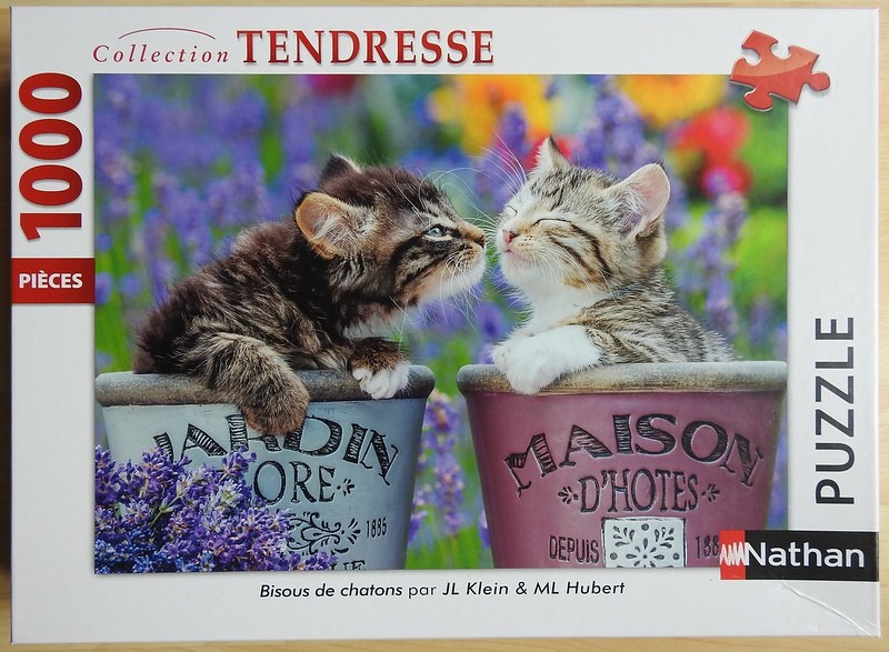 Two kittens sitting in separate flower pots amidst a lavender field.