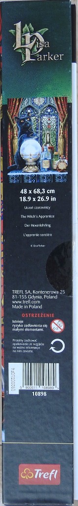 The Witch's Apprentice