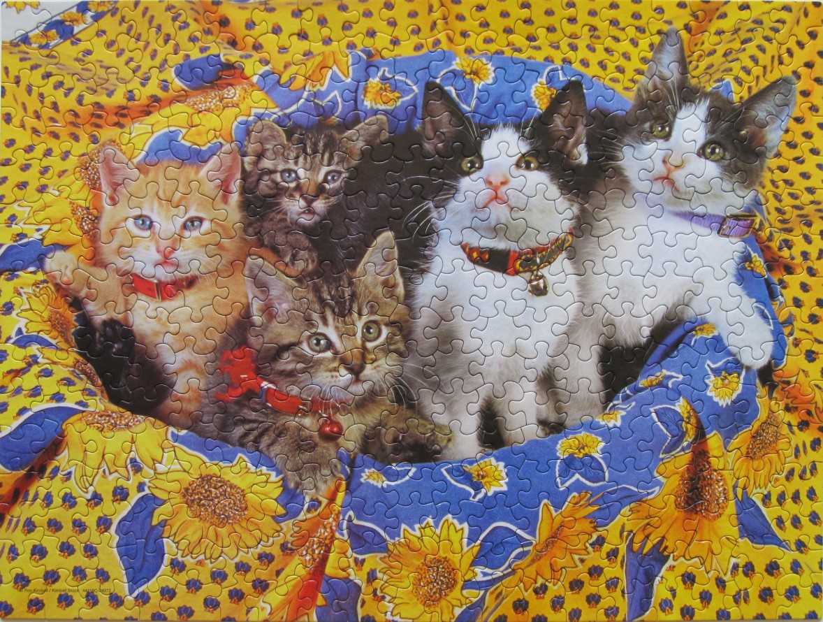 Four kittens wearing collars sit nestled together on a vibrant yellow and blue sunflower-patterned cloth.