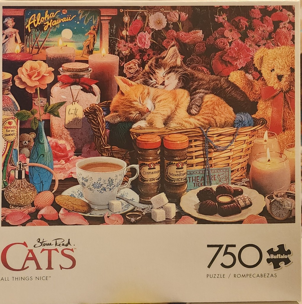 Two kittens sleeping in a wicker basket surrounded by cozy home items, flowers, and candles.
