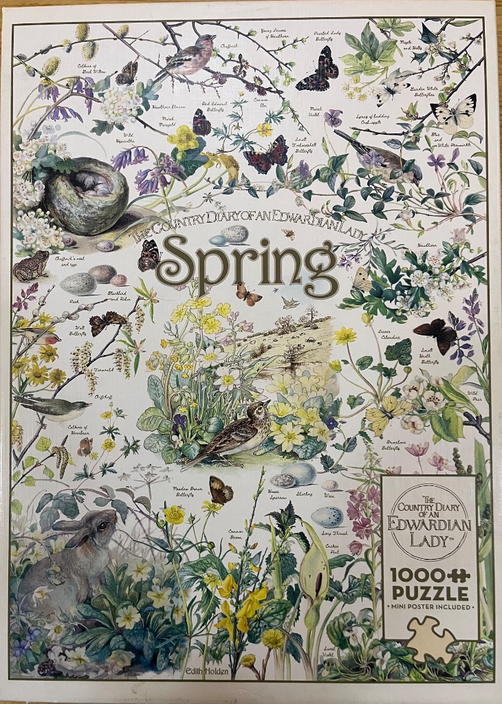 A botanical and wildlife illustration depicting spring, featuring birds, butterflies, eggs, and flowers.
